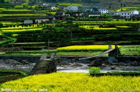 美丽的家园