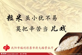 节约粮食