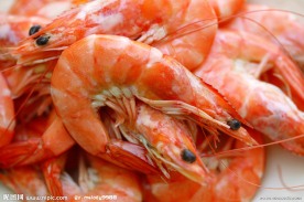 北极虾图片