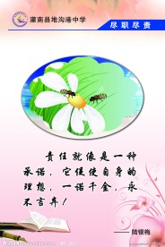 学校文化展板