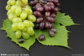 葡萄