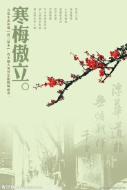 梅花海报