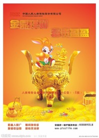 中国人民寿险 (注版本为CDRX5)