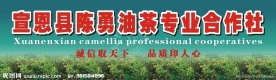 油茶专业合作社招牌