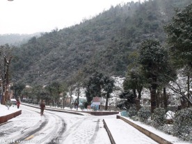 雪景