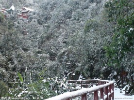 雪景