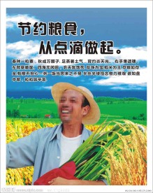 节约粮食