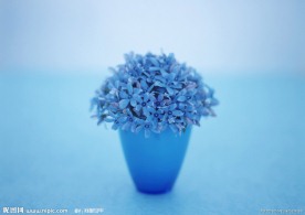 小花