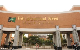 泰达国际学校