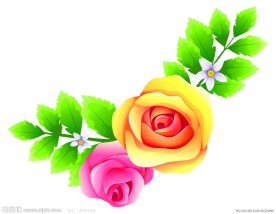 花朵素材