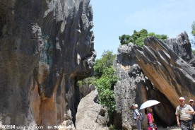 云南石林风景