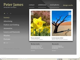 绿色大自然flash网站源码