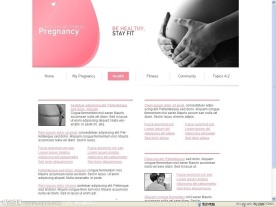 保健flash网站源码