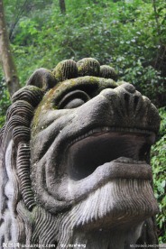 高清石狮二