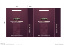 东方华尔街房产手提袋