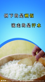 节约粮食