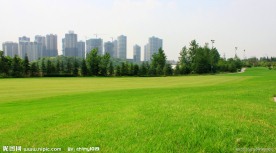 高尔夫俱乐部球场一角