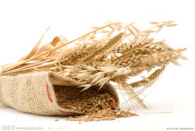 小麦杂粮