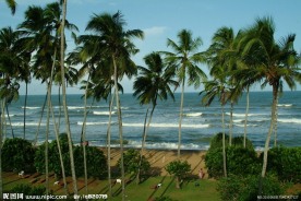 夏威夷海滩风光