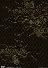 黑色 花纹
