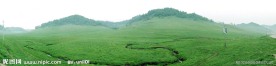关山 牧场
