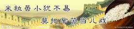 节约粮食