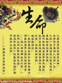 学校展板设计