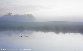 湖面上的鸳鸯