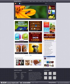 网页设计 网页模版