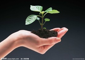 绿色环保
