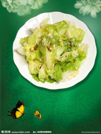 海报 包菜 蝴蝶