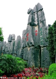 云南石林风景