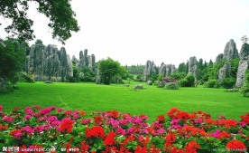 云南石林风景