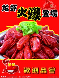 龙虾海报