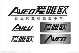 爱唯欧试驾车车牌