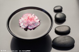 禅意花朵 温泉石