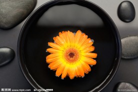 禅意花朵 温泉石