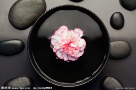 禅意花朵 温泉石