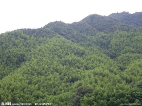 山景
