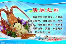 澳洲龙虾