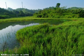 城市湿地东城区