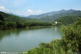滨江绿色走廊市肺绿色生态屏障