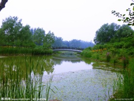 小河上的桥