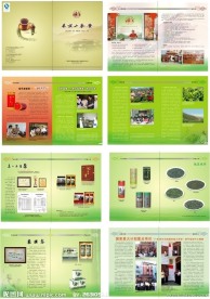 茶叶画册设计