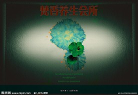 养生会所