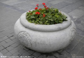 花坛
