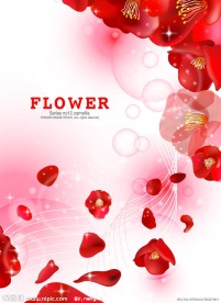 动感线条时尚梦幻花纹花卉