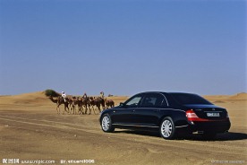 骆驼迈巴赫