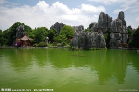 云南风光 石林