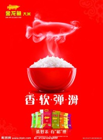 金龙鱼油素材